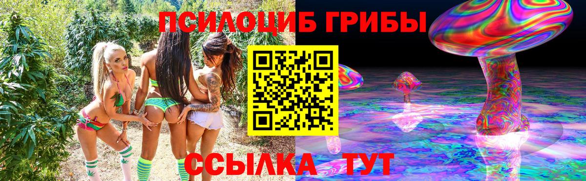 Галлюциногенные грибы GOLDEN TEACHER Обнинск